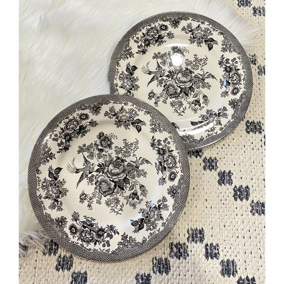 Royal Stafford ASIATIC PHEASANT BLACK 11" Dinner Plates England Pottery - Picture 2 of 3